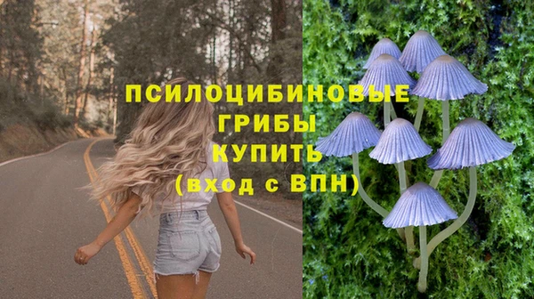 СК Богородск