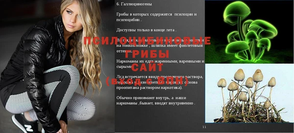 меф VHQ Богданович